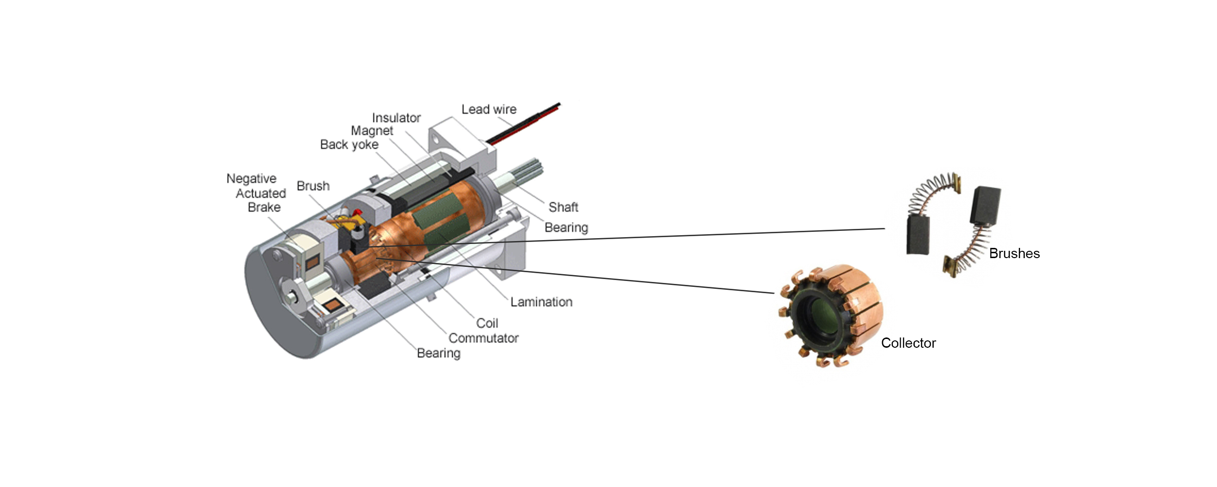Brushless Servo Motors and Brushed Motors: Which to Choose