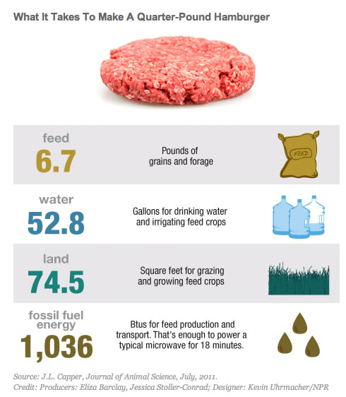 what it takes to make a quarter pound hamburger